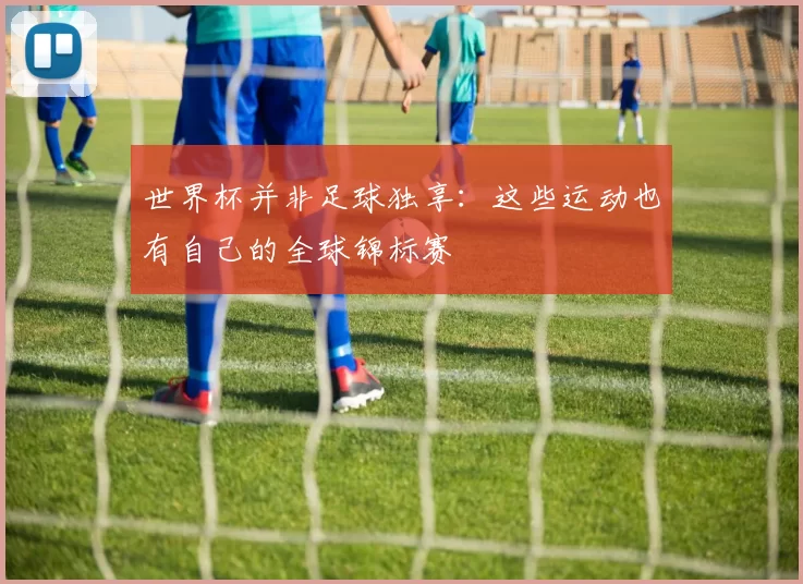 世界杯并非足球独享:这些运动也有自己的全球锦标赛