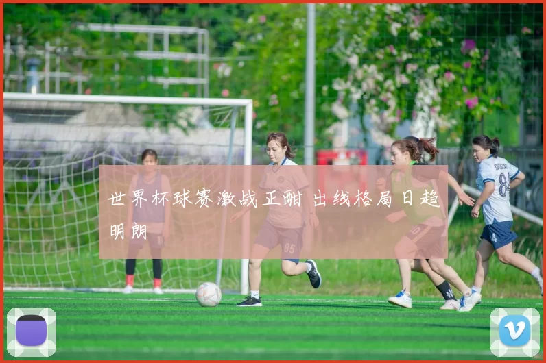 世界杯球赛激战正酣 出线格局日趋明朗