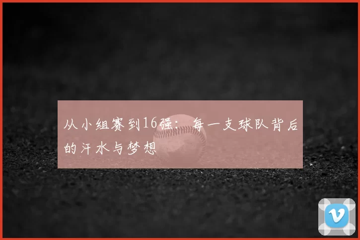 从小组赛到16强：每一支球队背后的汗水与梦想