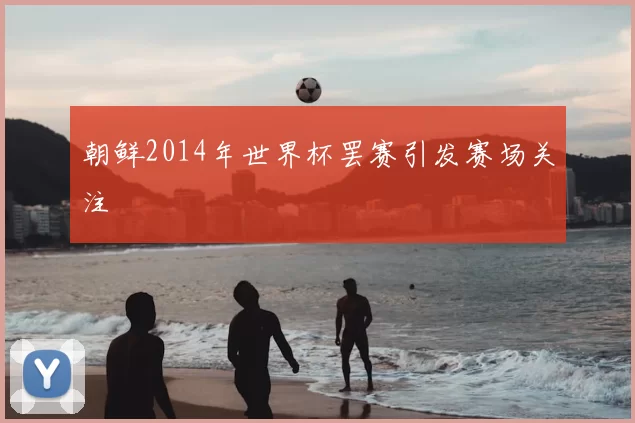 朝鲜2014年世界杯罢赛引发赛场关注