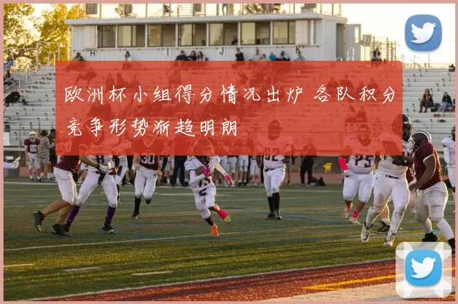 欧洲杯小组得分情况出炉 各队积分竞争形势渐趋明朗