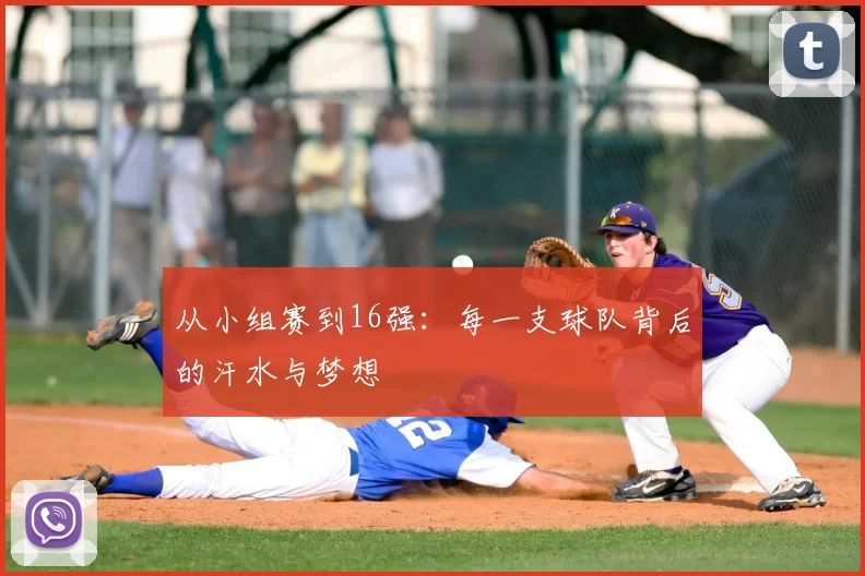 从小组赛到16强：每一支球队背后的汗水与梦想