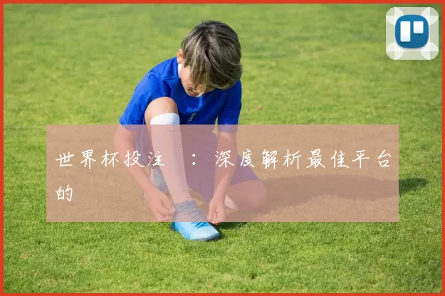 世界杯投注網：深度解析最佳平台的選擇與風險