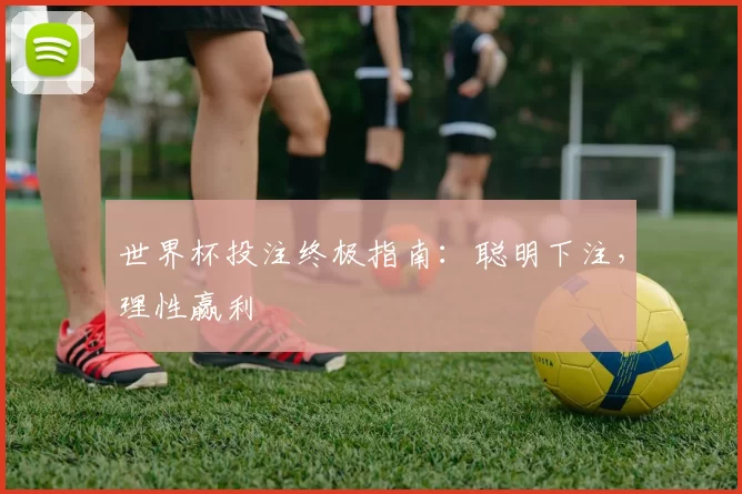 世界杯投注终极指南:聪明下注,理性赢利