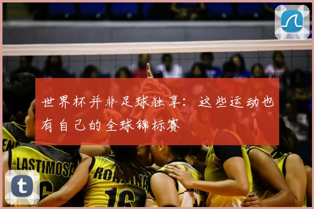 世界杯并非足球独享:这些运动也有自己的全球锦标赛