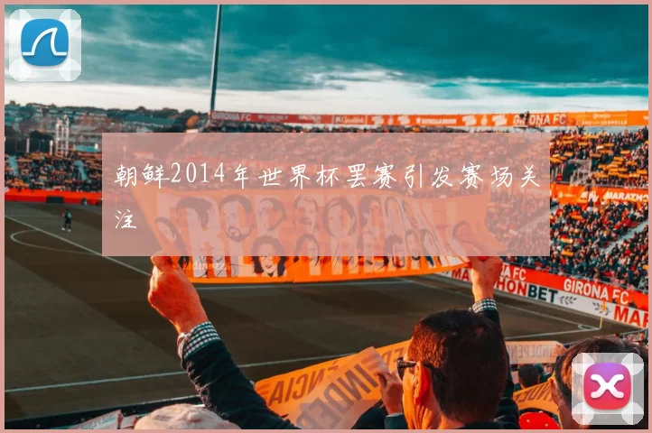 朝鲜2014年世界杯罢赛引发赛场关注