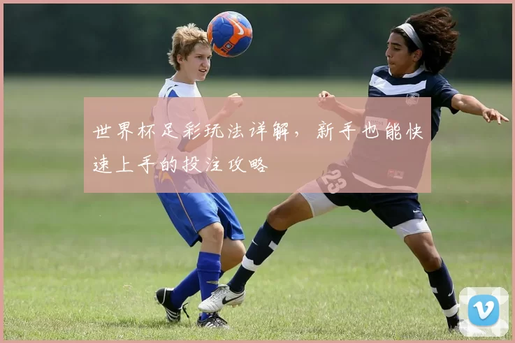 世界杯足彩玩法详解，新手也能快速上手的投注攻略