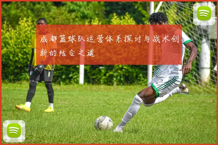 成都篮球队运营体系探讨与战术创新的结合之道