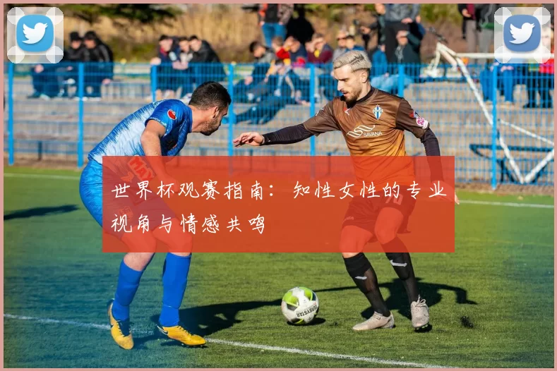 世界杯观赛指南：知性女性的专业视角与情感共鸣
